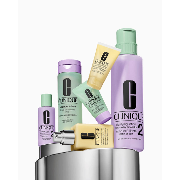 Great Skin Everywhere Set: For Dry Combination Skin