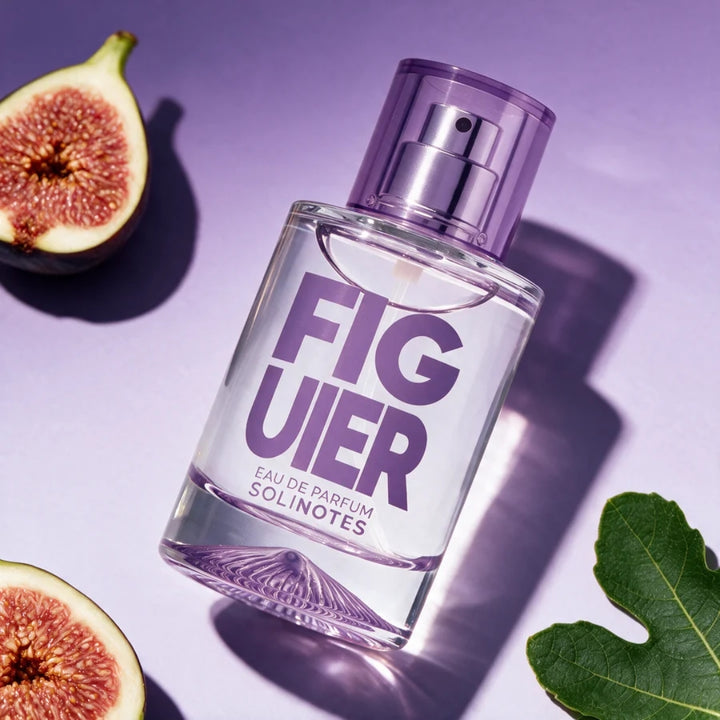 Figuier | Fig Tree