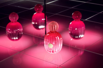 The Icon Fem EDP
