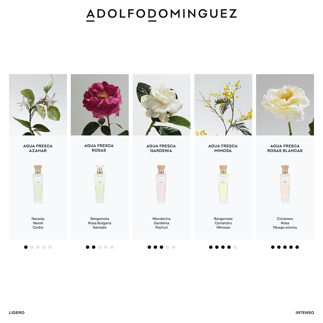 Agua Fresca de Mimosa