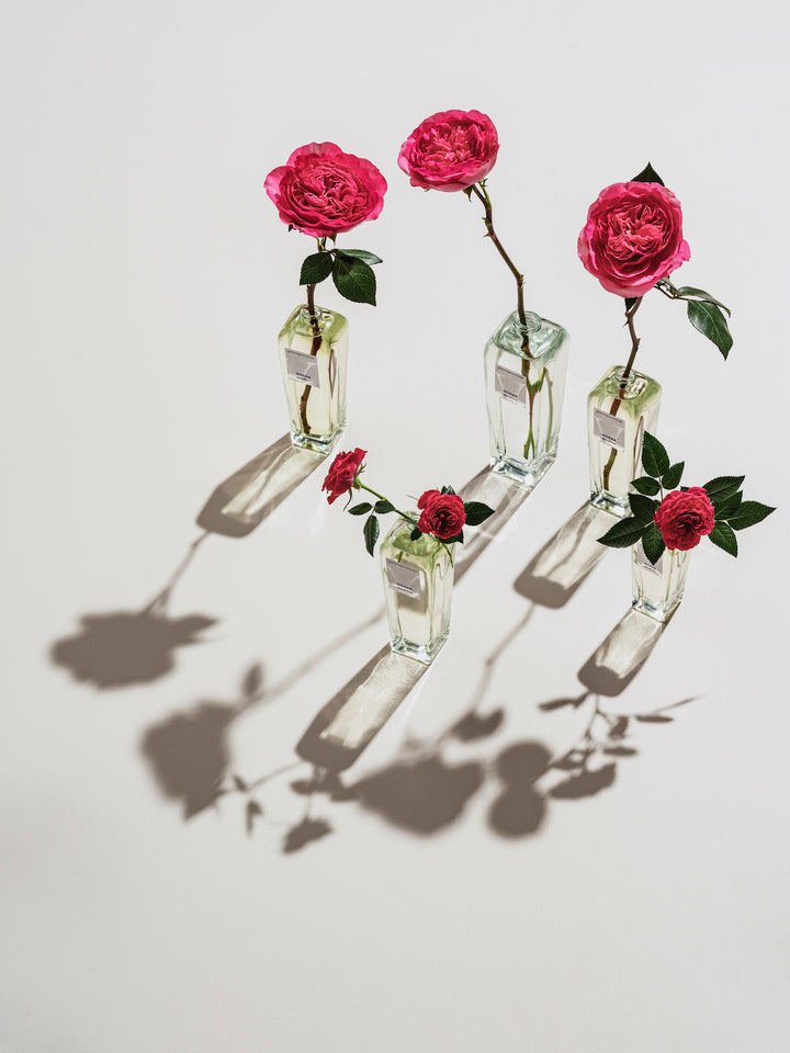 Agua Fresca de Rosas