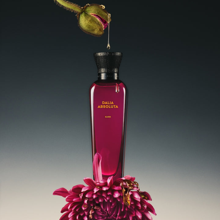 Dalia Absoluta Elixir Parfum