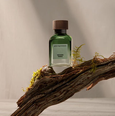 Vetiver Terra Edp - GWP