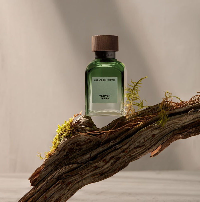 Vetiver Terra Edp - GWP