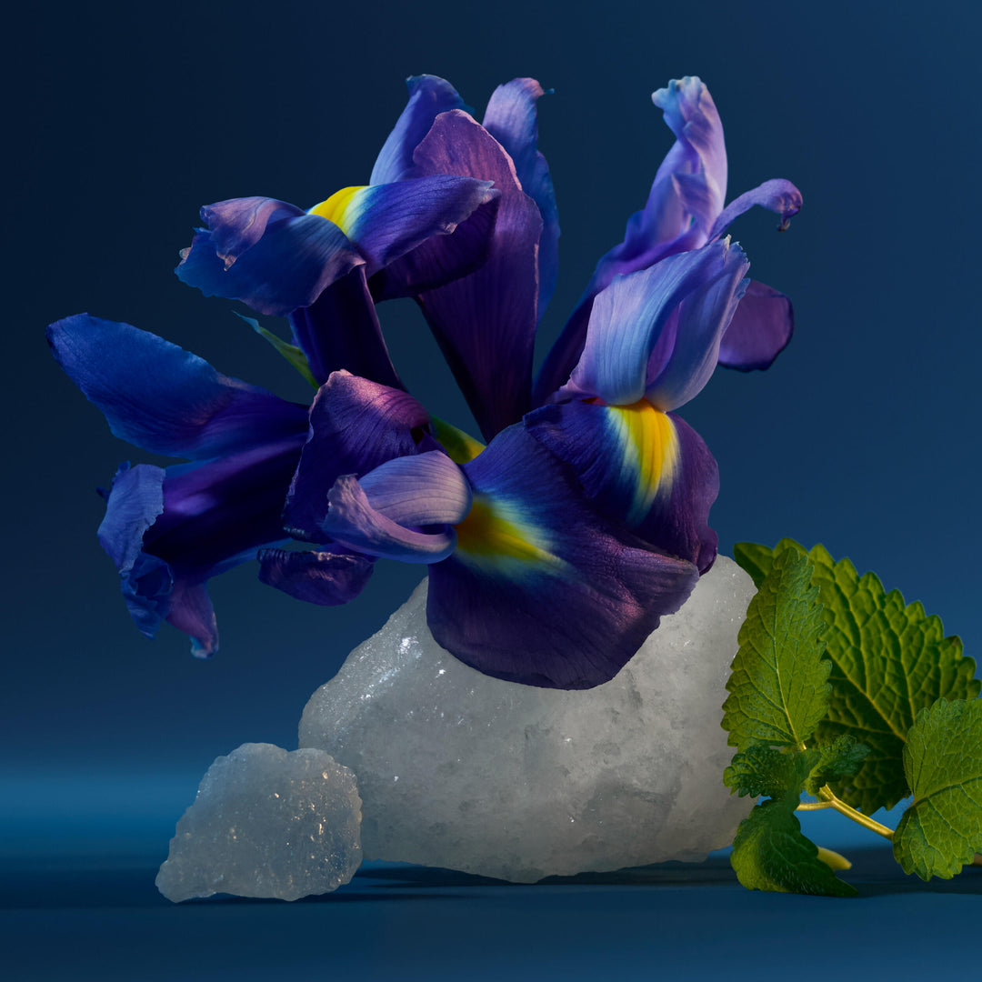 ck one night essence