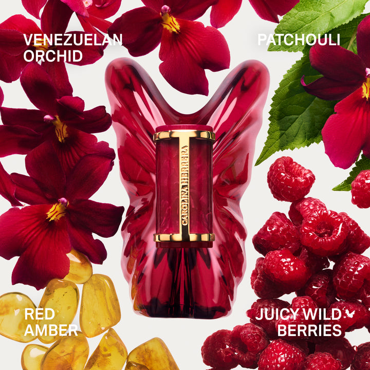 La Bomba Eau de Parfum Intensa