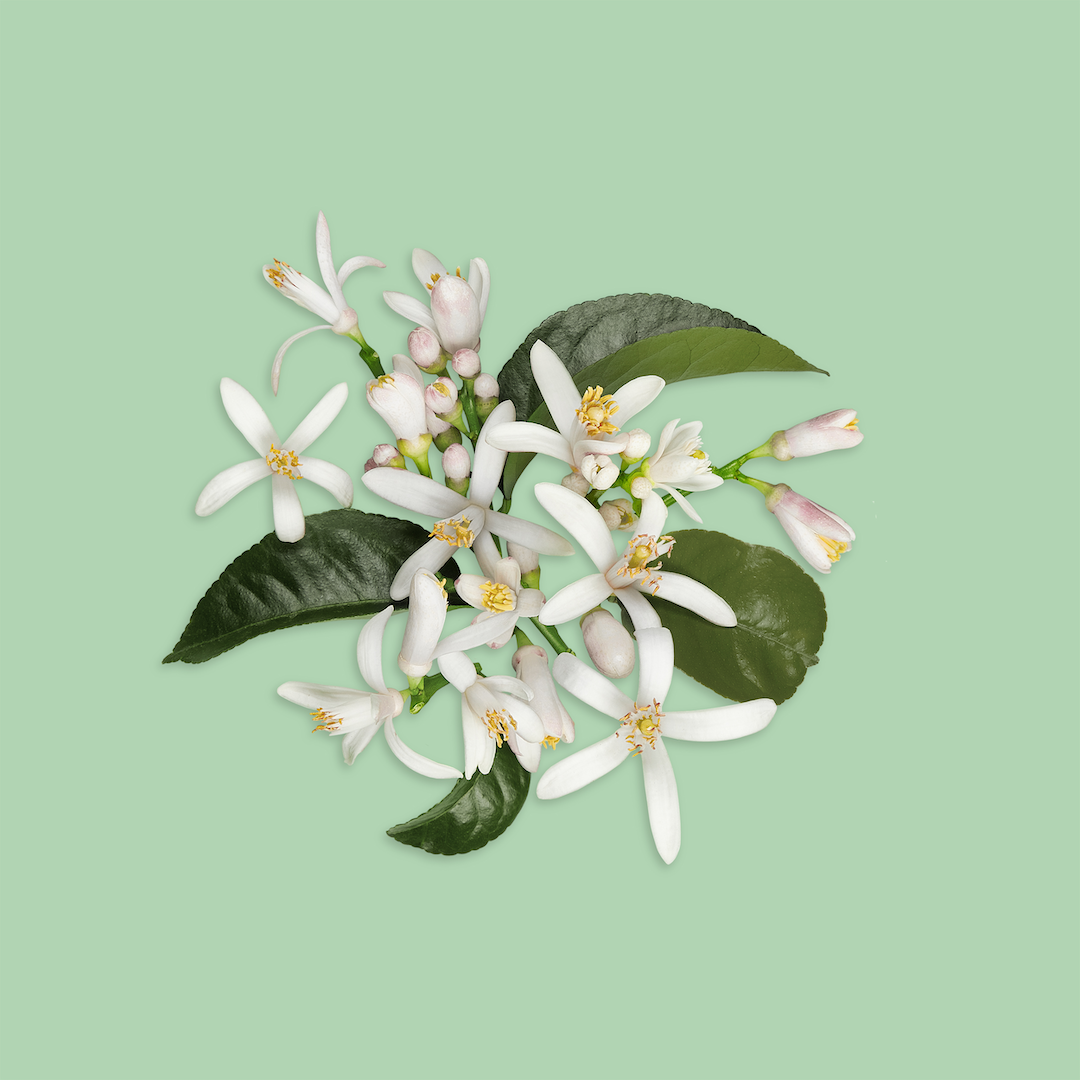 Gucci Guilty Absolu de Parfum Pour Homme