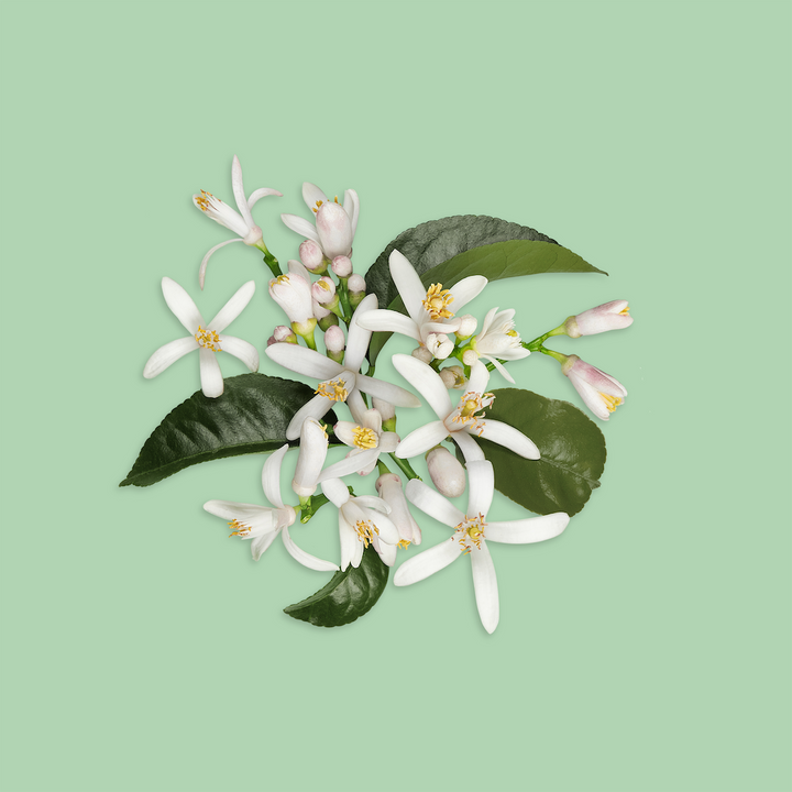 Gucci Guilty Absolu de Parfum Pour Homme