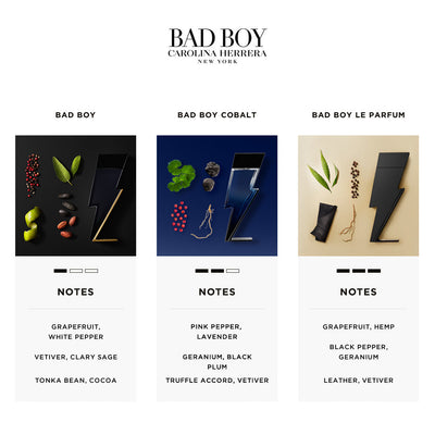 Bad Boy Cobalt - GWP