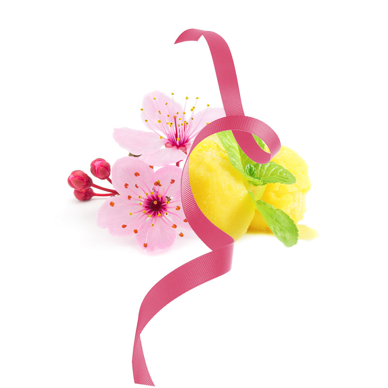 Ferragamo Signorina In Fiore
