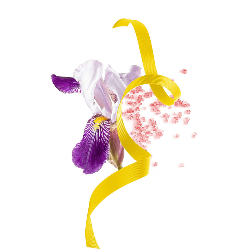 Ferragamo Signorina Libera