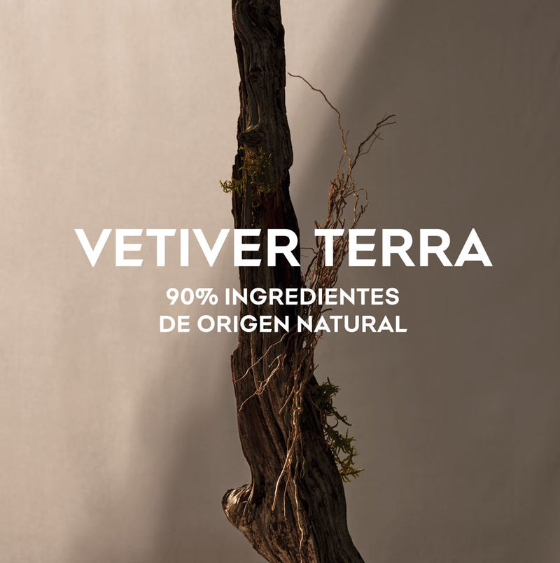 Vetiver Terra Edp - GWP