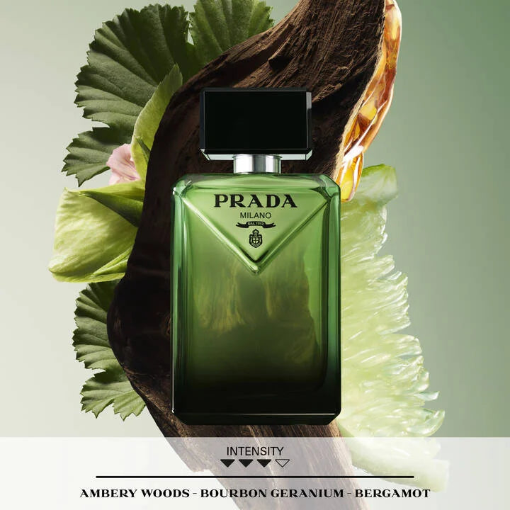 Paradigme Eau de Parfum for Men