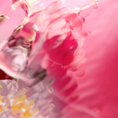 The Icon Fem EDP - GWP