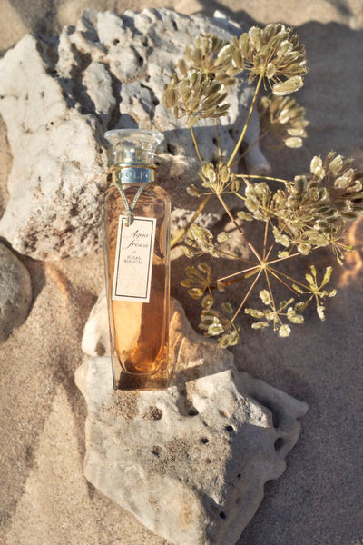 Agua Fresca de Rosas Blancas - GWP